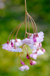 Similar image 13010694