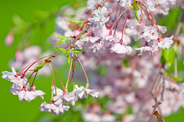 Similar image 13010696