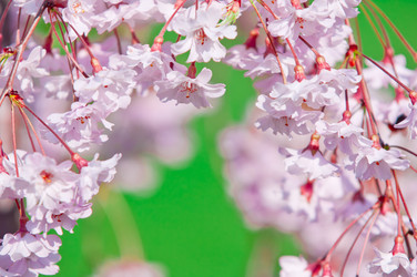 Similar image 13010697