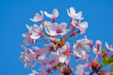 Similar image 13010701