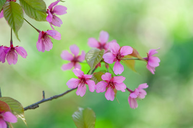 Similar image 13010703