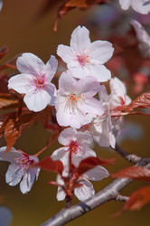 Similar image 13010729