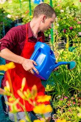 Similar image 13063002