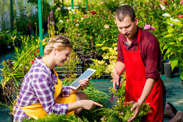 Similar image 13063004