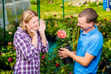 Similar image 13063045