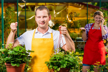 Similar image 13063048