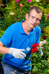 Similar image 13063346