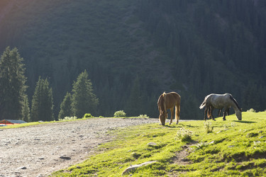 Similar image 13033701