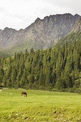 Similar image 13033704