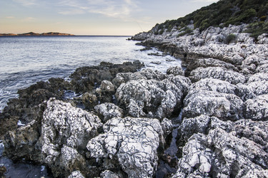 Similar image 13029566