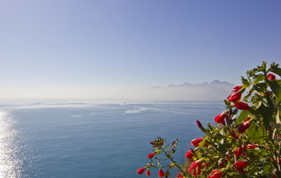 Similar image 13029625