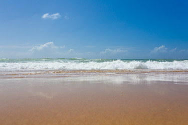 Similar image 13046765