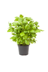 Similar image 13046767