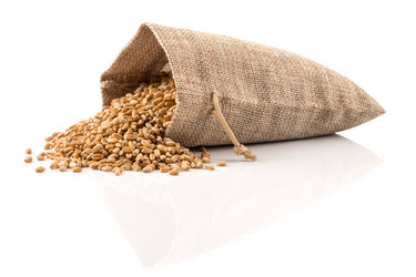 Similar image 13046806