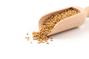 Similar image 13046807