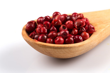 Similar image 13046825