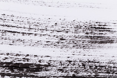 Similar image 13046827