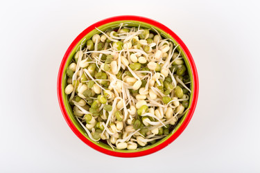 Similar image 13046848