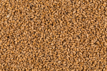 Similar image 13046926