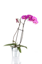 Similar image 13046966