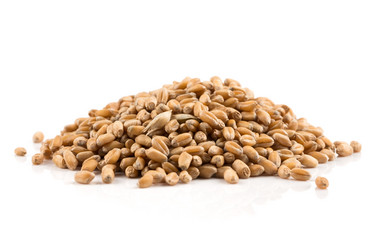 Similar image 13046984