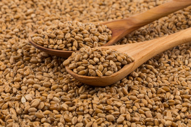 Similar image 13047022