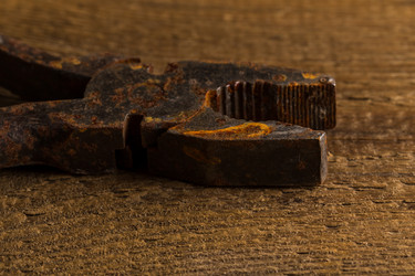 Similar image 13047044