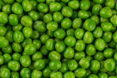 Similar image 13047045