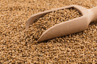 Similar image 13059938