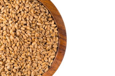 Similar image 13059939