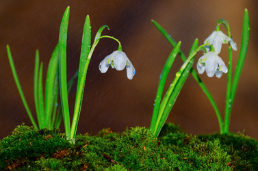 Similar image 13045622