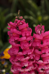 Similar image 13051745