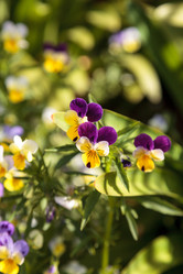 Similar image 13051354