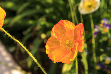 Similar image 13051783