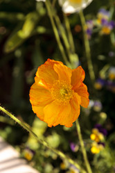 Similar image 13051784