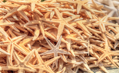 Similar image 13051785