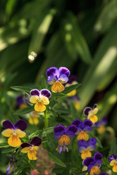 Similar image 13051786