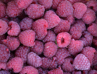 Similar image 13002906