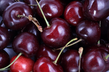 Similar image 13002915