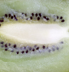 Similar image 13002916