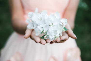 Similar image 13012897