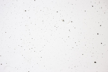 Similar image 13042108