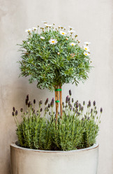 Similar image 13042149