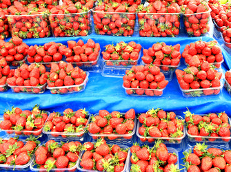 Similar image 13002770