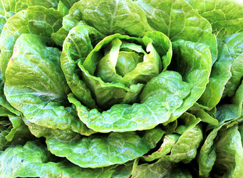 Similar image 13002771