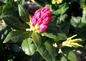 Similar image 13002772