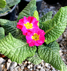 Similar image 13005358