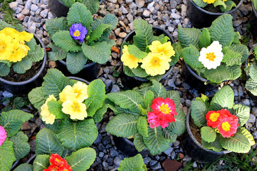 Similar image 13005361