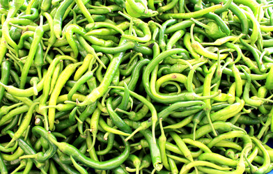 Similar image 13005535