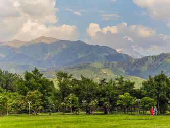 Similar image 13005137